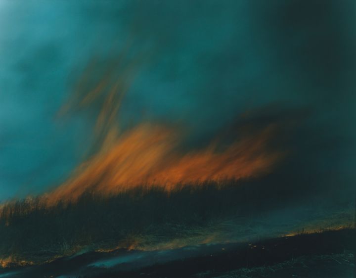 Rinko Kawauchi Gallery Galerie Christophe Guye