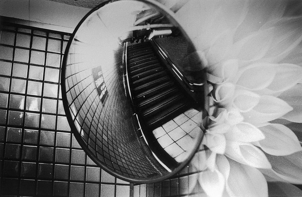 Kosuke (*1986, Japan): WARNING #37 – Christophe Guye Galerie