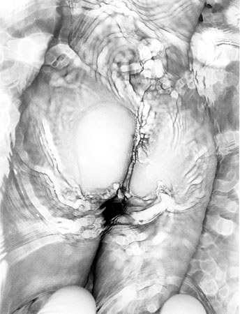 Nobuyoshi ARAKI (*1940, Japan): Untitled (Erotos) – Christophe Guye Galerie