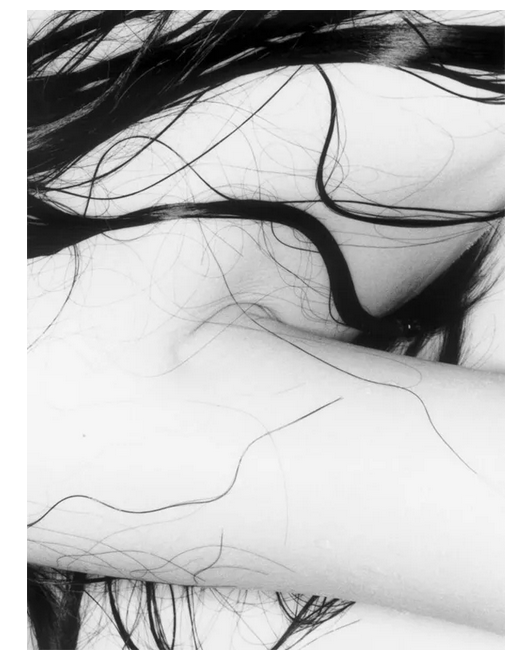 Nobuyoshi ARAKI (*1940, Japan): Untitled (Erotos) – Christophe Guye Galerie