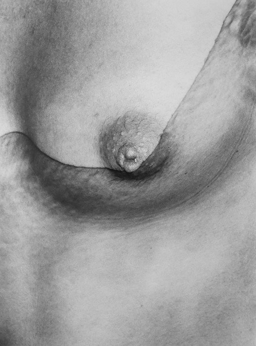 Nobuyoshi ARAKI (*1940, Japan): Untitled (Erotos) – Christophe Guye Galerie