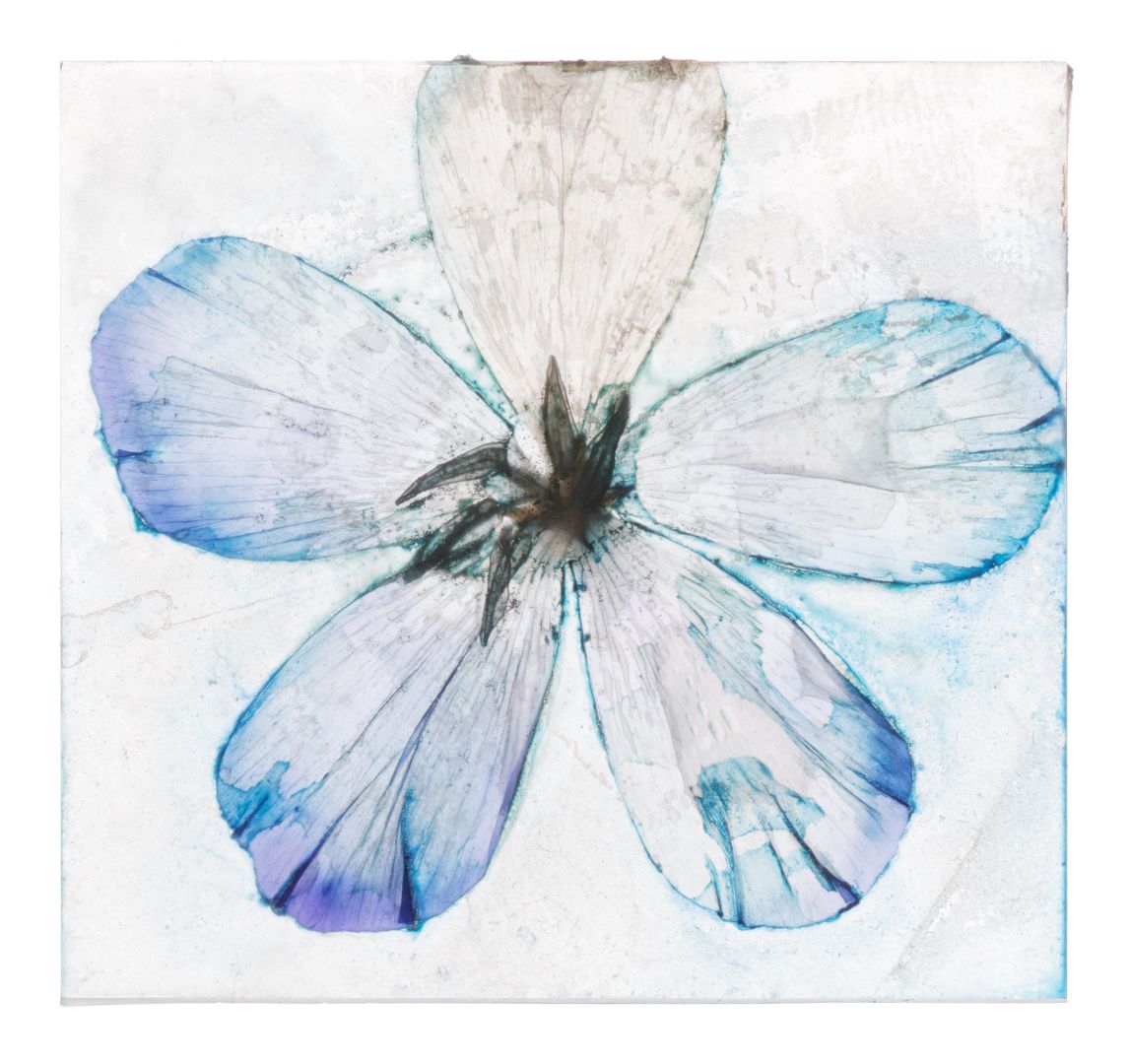 Brigitte LUSTENBERGER (*1969, Switzerland): Are you here or just a memory – Christophe Guye Galerie