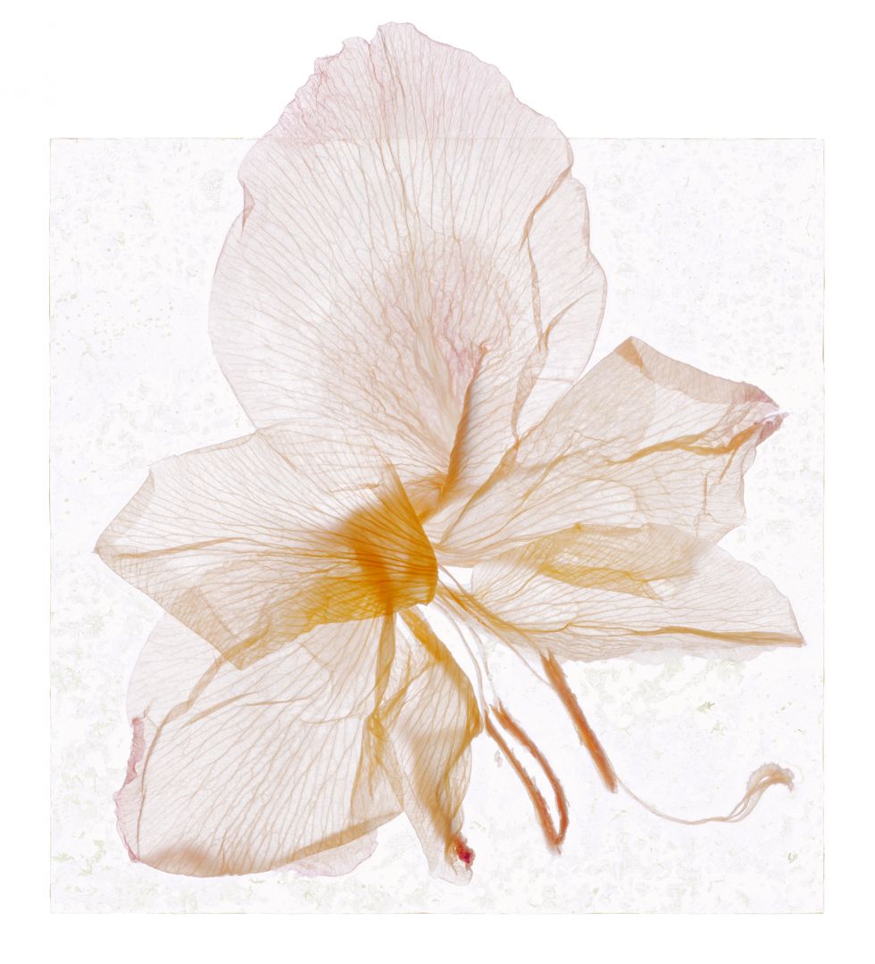 Brigitte LUSTENBERGER (*1969, Switzerland): Just to linger for a while – Christophe Guye Galerie