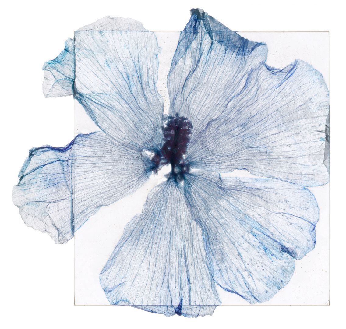 Brigitte LUSTENBERGER (*1969, Switzerland): Later I will consider what I have seen – Christophe Guye Galerie