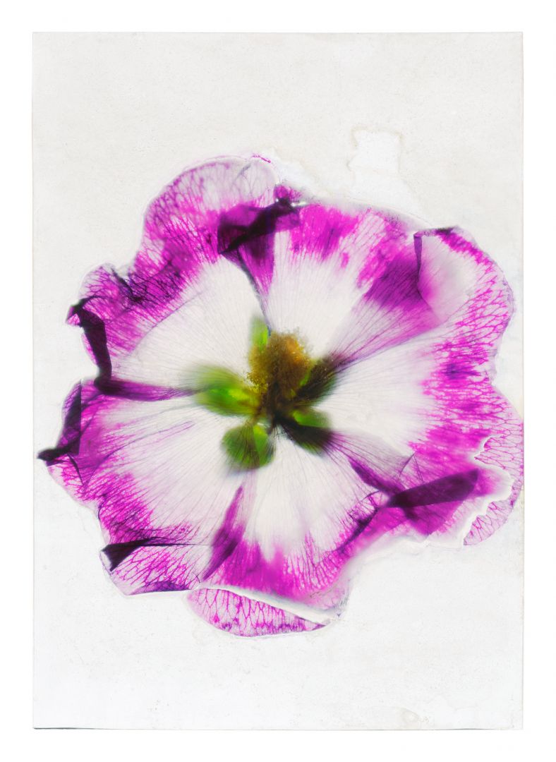 Brigitte LUSTENBERGER (*1969, Switzerland): Until it wasnt  – Christophe Guye Galerie