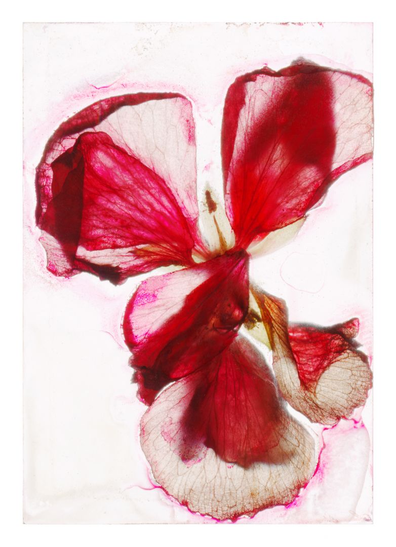 Brigitte LUSTENBERGER (*1969, Switzerland): Waiting for you to look back at me – Christophe Guye Galerie