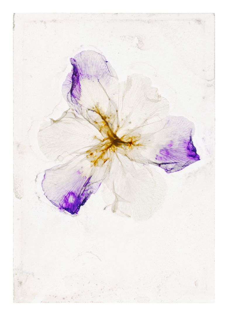 Brigitte LUSTENBERGER (*1969, Switzerland): When the days used to pass slowly – Christophe Guye Galerie
