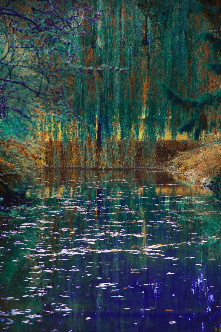 Erik MADIGAN HECK (*1983, United States): English Garden Study N.32 – Christophe Guye Galerie