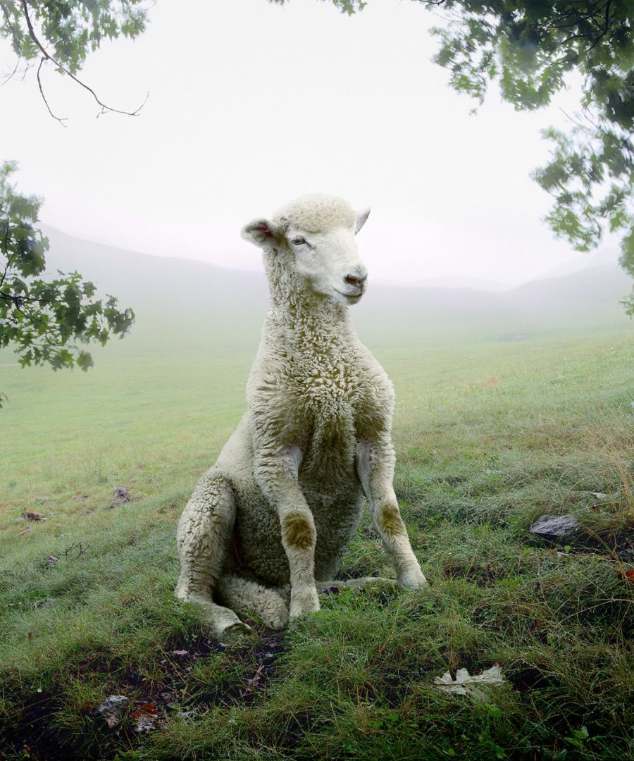 Simen JOHAN (*1973, Norway): Untitled #137 – Christophe Guye Galerie