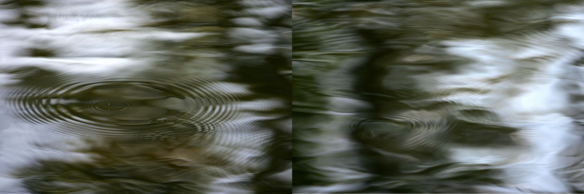 Syoin KAJII (*1976, Japan): KAWA_053_054 – Christophe Guye Galerie