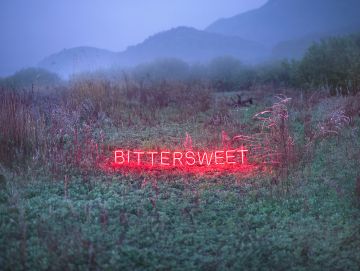 Jung Lee (*1972, Seoul): BITTERSWEET – Christophe Guye Galerie