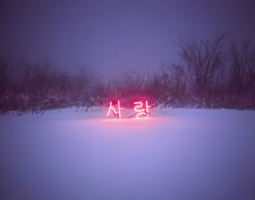Jung Lee (*1972, Seoul): SA-RANG #2 – Christophe Guye Galerie
