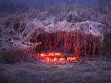 Jung Lee (*1972, Seoul): TILL MY LAST BREATH – Christophe Guye Galerie