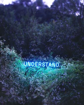 Jung Lee (*1972, Seoul): UNDERSTAND – Christophe Guye Galerie