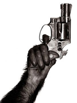 Albert WATSON (*1942, Scotland): Monkey with Gun – Christophe Guye Galerie