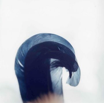 Rinko KAWAUCHI (*1972, Japan): Untitled, from the series 'Search for the sun' – Christophe Guye Galerie