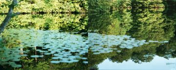 Risaku Suzuki: Water Mirror 15, WM-272, 270 (Diptych) – Christophe Guye Galerie