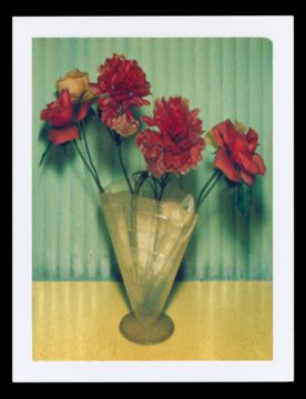 Albert WATSON (*1942, Scotland): Mexican Flowers, New York City – Christophe Guye Galerie
