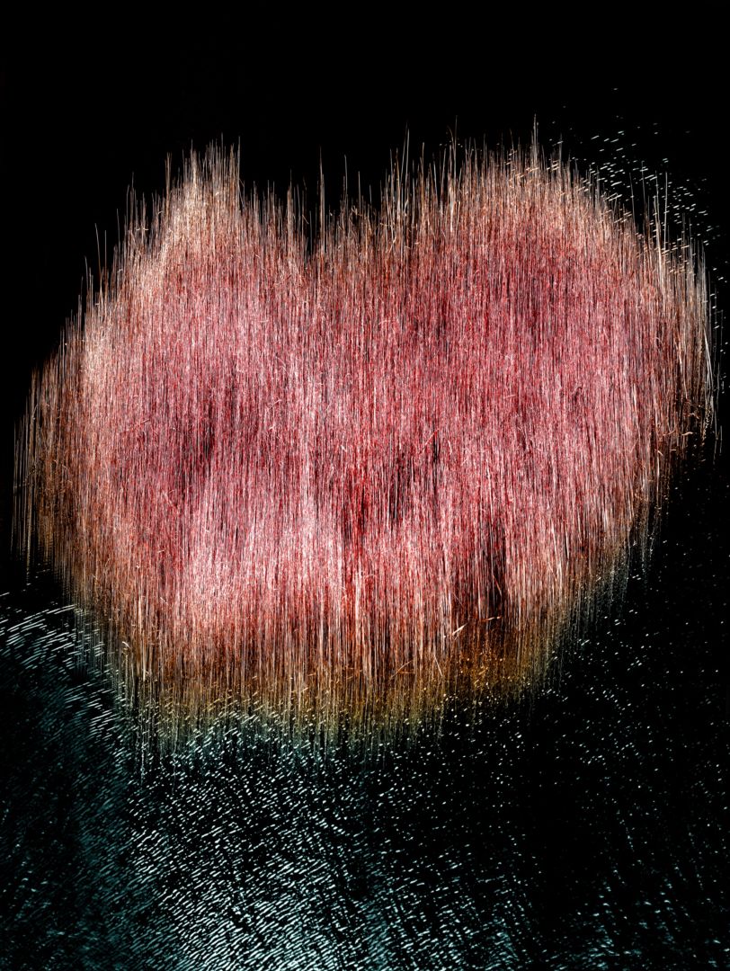 Albert WATSON (*1942, Scotland): Reeds 3 Coral Beach – Christophe Guye Galerie