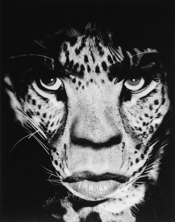 Christophe Guye Galerie Albert Watson Mick Jagger Leopard
