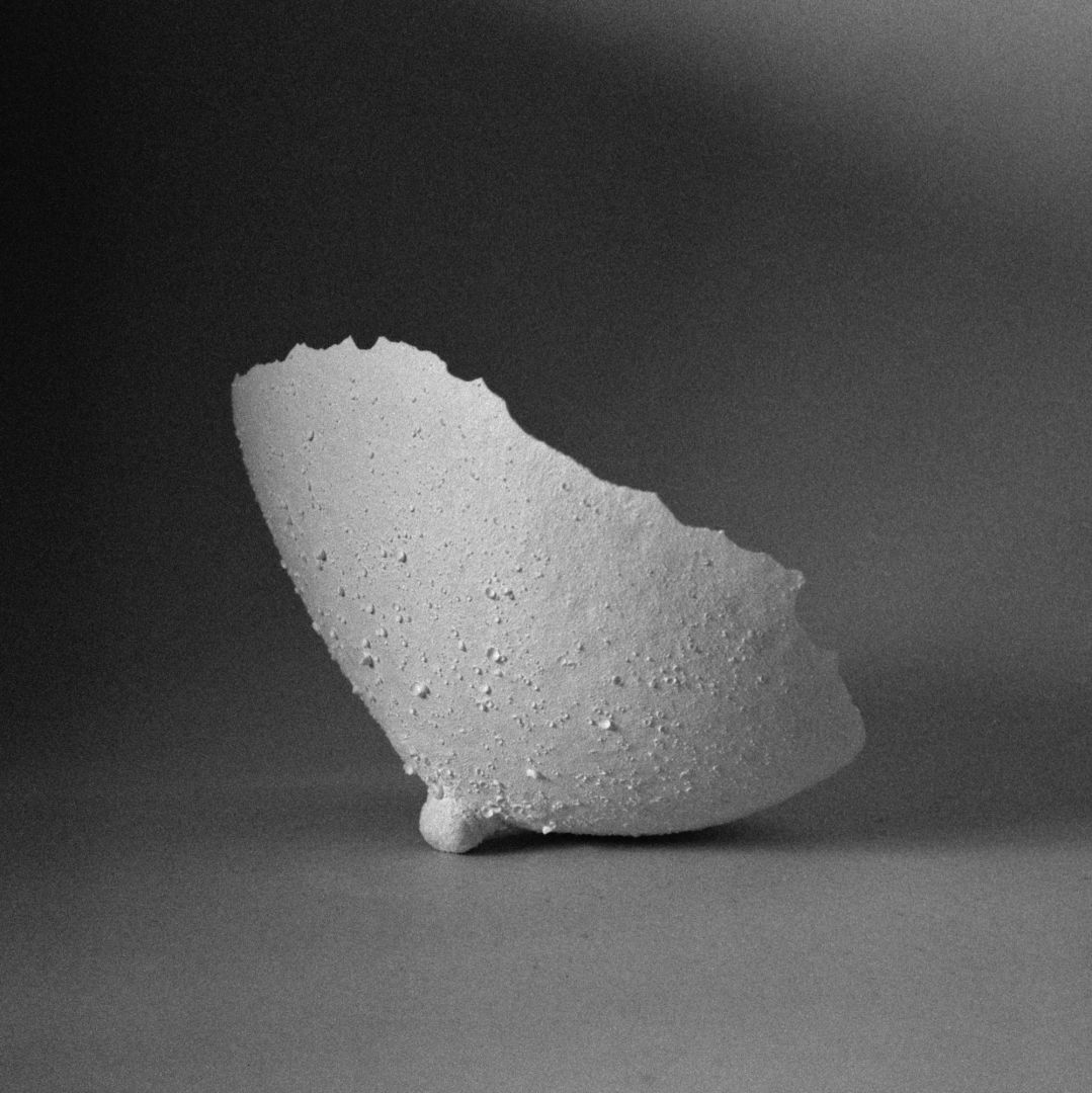 Brigitte LUSTENBERGER (*1969, Switzerland) : Not titled yet, from the series 'A Gaze of One's Own‘ – Christophe Guye Galerie