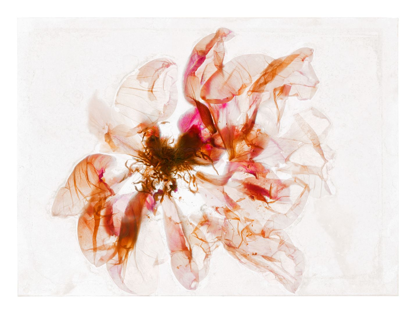Brigitte LUSTENBERGER (*1969, Switzerland): Kaleidoscopic Vision – Christophe Guye Galerie