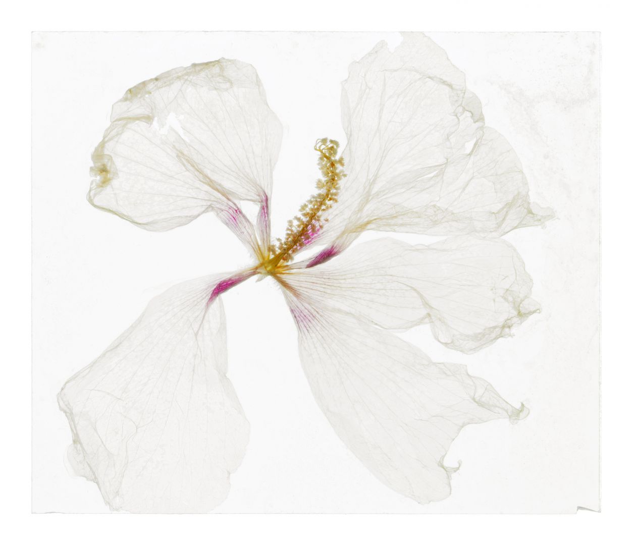Brigitte LUSTENBERGER (*1969, Switzerland): The scent of her lingers – Christophe Guye Galerie