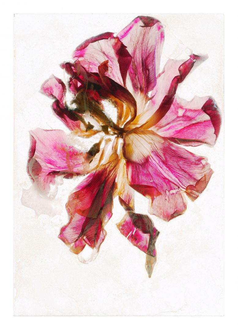 Brigitte LUSTENBERGER (*1969, Switzerland) : At least I can trust the confusion – Christophe Guye Galerie