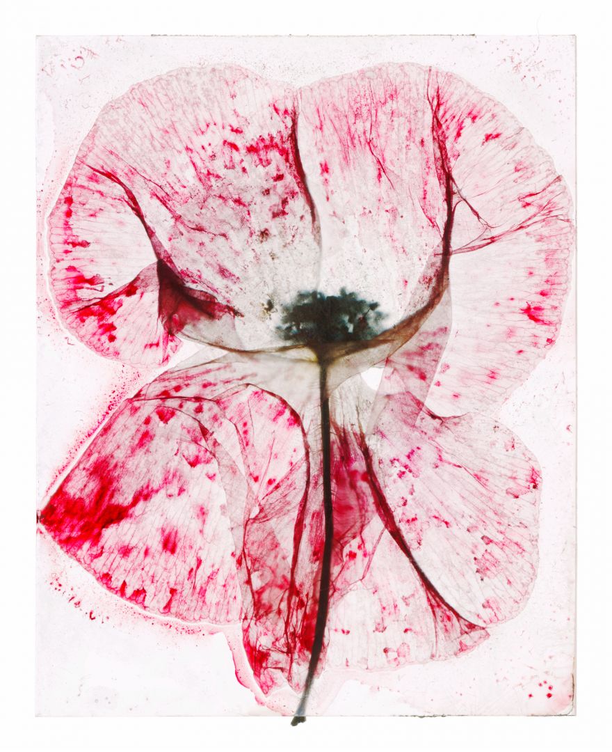 Brigitte LUSTENBERGER (*1969, Switzerland): I never asked your name – Christophe Guye Galerie