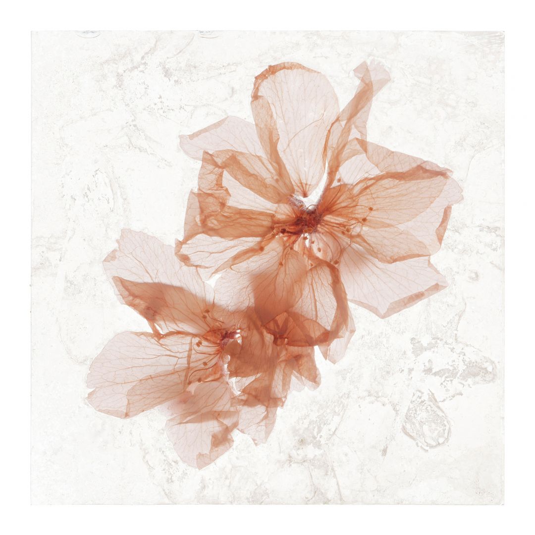 Brigitte LUSTENBERGER (*1969, Switzerland) : It could be forever – Christophe Guye Galerie