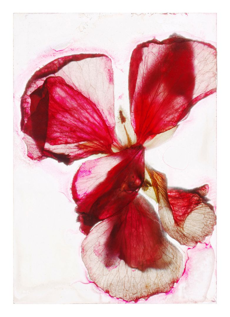 Brigitte LUSTENBERGER (*1969, Switzerland) : Waiting for you to look back at me – Christophe Guye Galerie