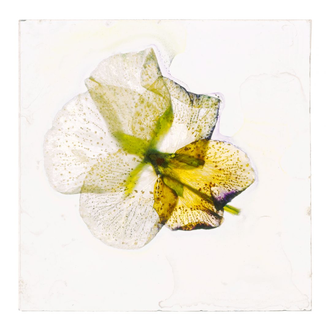 Brigitte LUSTENBERGER (*1969, Switzerland): Who can say where one ends and other begins – Christophe Guye Galerie