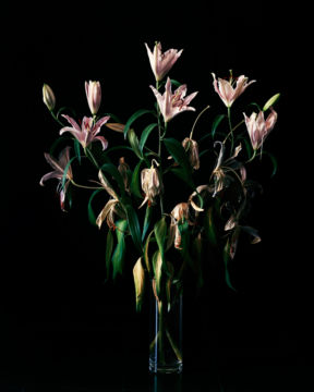 Brigitte LUSTENBERGER (*1969, Switzerland): Flowers I – Christophe Guye Galerie
