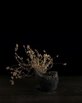 Brigitte LUSTENBERGER (*1969, Switzerland) : Flowers VII  – Christophe Guye Galerie