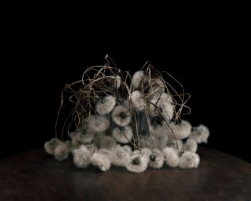 Brigitte LUSTENBERGER (*1969, Switzerland) : Flowers XIX – Christophe Guye Galerie