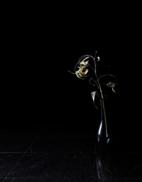 Brigitte LUSTENBERGER (*1969, Switzerland): Flowers XXI – Christophe Guye Galerie