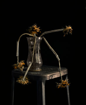 Brigitte LUSTENBERGER (*1969, Switzerland): Flowers XXIII – Christophe Guye Galerie