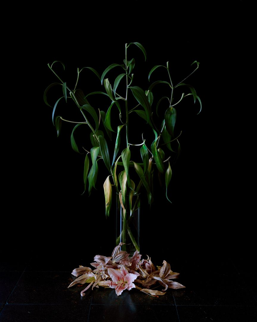 Christophe Guye Galerie Brigitte Lustenberger Flowers Ii