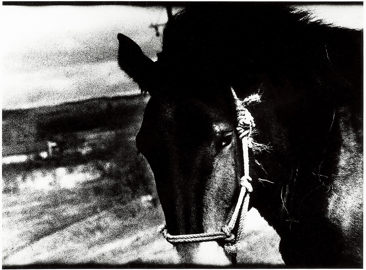 Daido MORIYAMA (*1938, Japan): Kushiro, Hokkaido – Christophe Guye Galerie