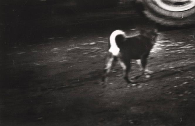   – Christophe Guye Galerie