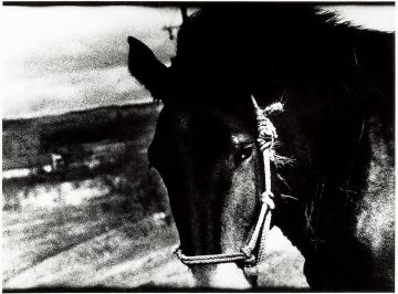 Daido MORIYAMA (*1938, Japan): Kushiro, Hokkaido – Christophe Guye Galerie
