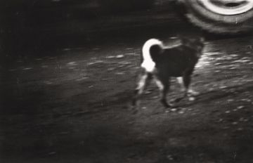  – Christophe Guye Galerie