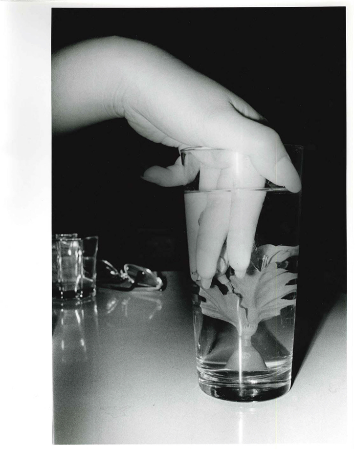 Daido MORIYAMA (*1938, Japan): Artificial Underwater Flower – Christophe Guye Galerie