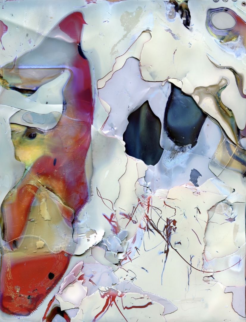 Daisuke YOKOTA (*1983, Japan): Untitled (from the series Color Photographs) – Christophe Guye Galerie