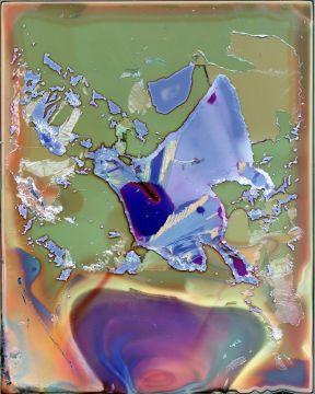 Daisuke YOKOTA (*1983, Japan): Untitled (from the series Color Photographs) – Christophe Guye Galerie