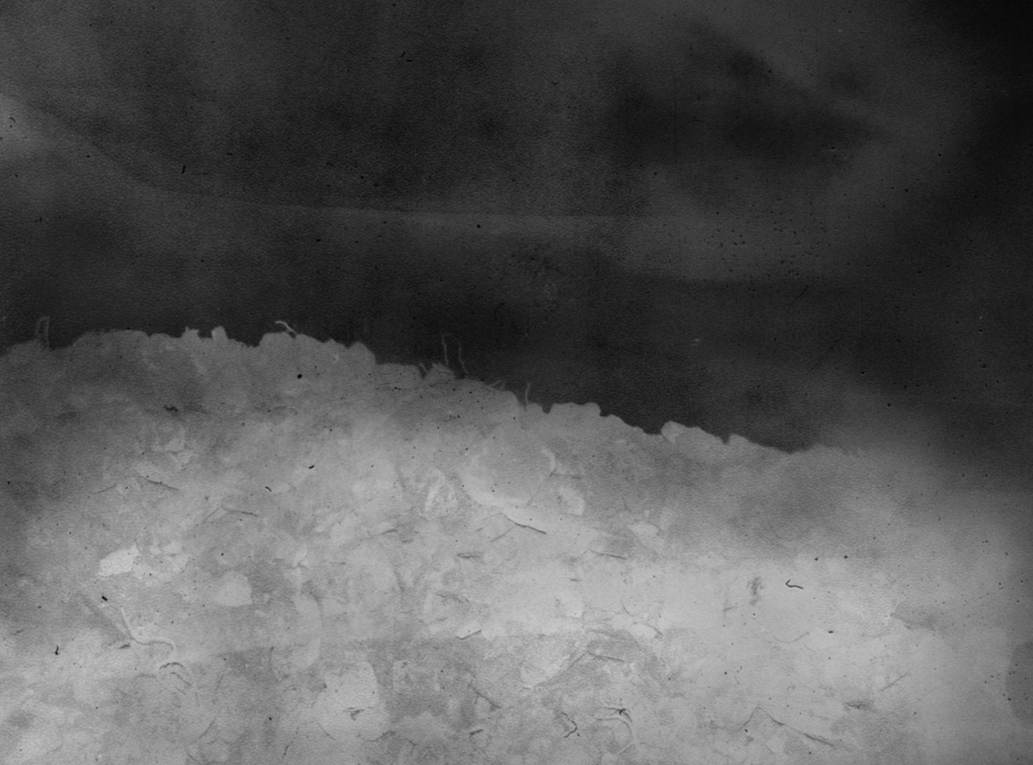 Daisuke YOKOTA (*1983, Japan): Untitled, from site/cloud – Christophe Guye Galerie