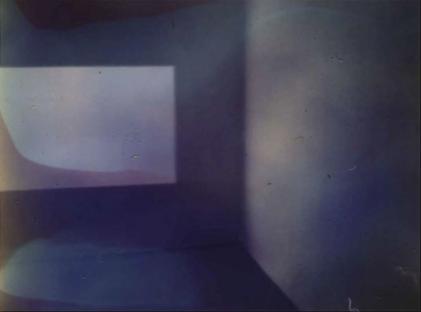 Daisuke YOKOTA (*1983, Japan): Untitled, from site/cloud – Christophe Guye Galerie