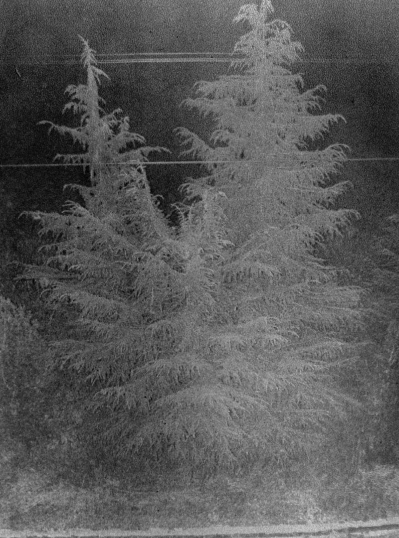 Daisuke YOKOTA (*1983, Japan): Untitled, from site/cloud – Christophe Guye Galerie