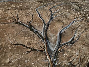 Edward BURTYNSKY (*1955, Canada): Colorado River Delta #12, Sonora, Mexico – Christophe Guye Galerie