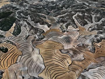 Edward BURTYNSKY (*1955, Canada): Dryland Farming #5, Monegros County, Aragon, Spain – Christophe Guye Galerie